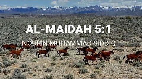 SURAH AL-MAIDAH 5:1 (سورة المائدة) sheikh nourin muhammad siddiq  AL-RASHEED