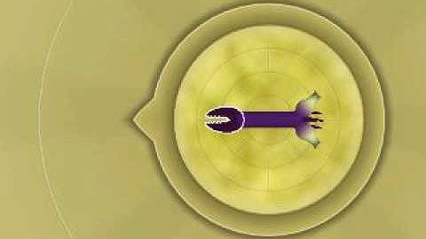 spore secret cell editor