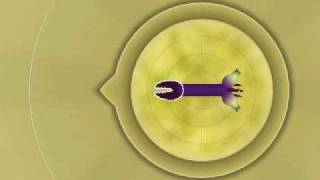 spore secret cell editor