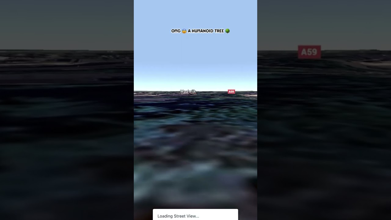 Omg a humanoid tree in google earth and google map 