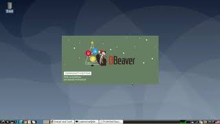 Install Dbeaver Community Edition : Free Universal Database Tool, on Debian 10.7.6