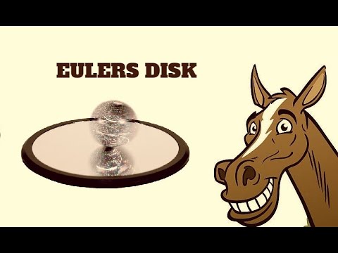 Euler's Disk