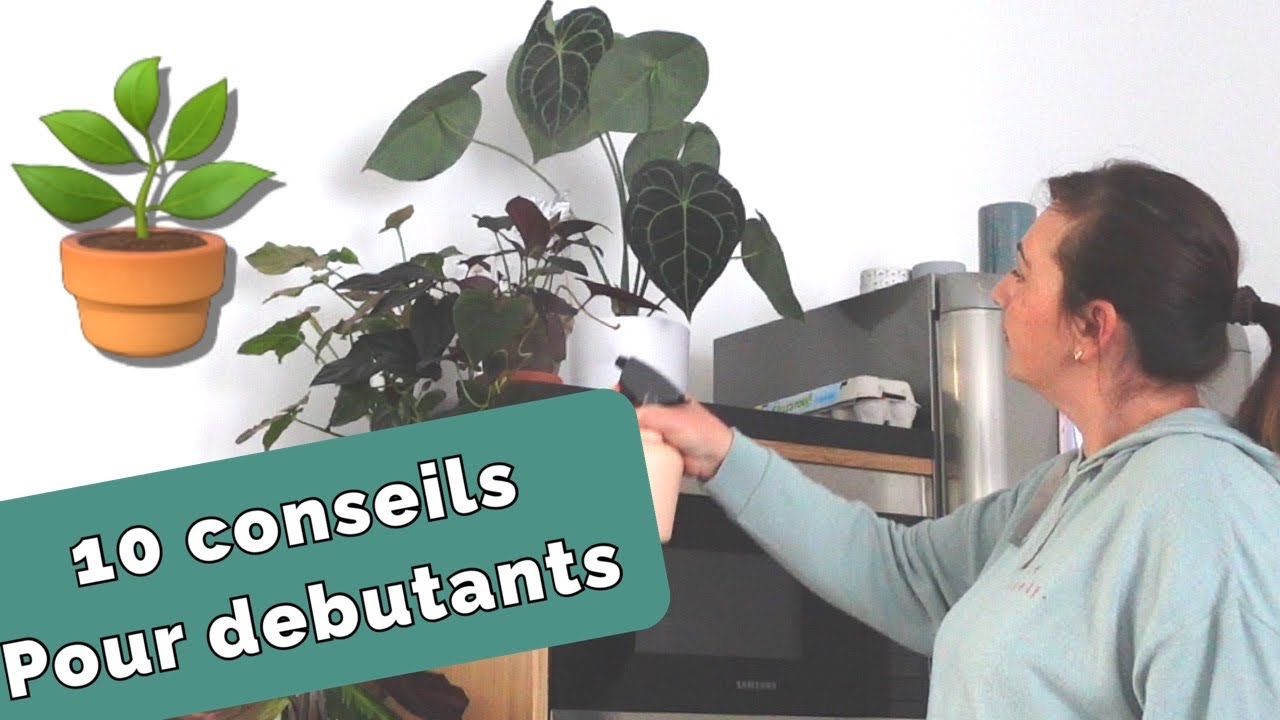 Mes 10 conseils pour débuter avec les plantes d'intérieur | Conseils pour débutants