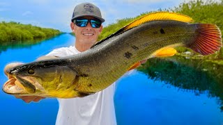 Most ANCIENT Trash Fish in America!  Catch Clean Cook (Mudfish)