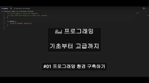 Rust 프로그래밍 배우기 - 기초부터 고급까지 #01 (프로그래밍 환경 구축하기)