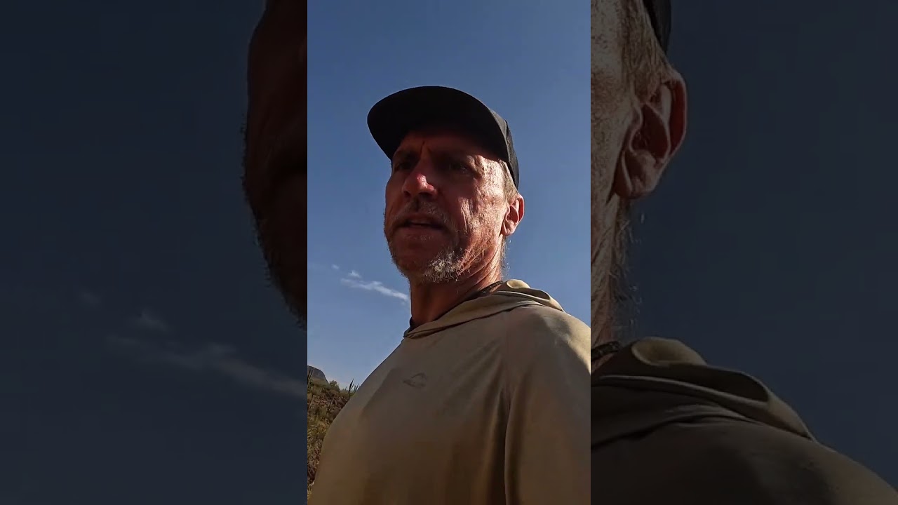 The Reason This Rattlesnake Was Attracted to This Yard: Water