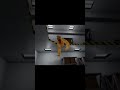 I was aiming to the door not the damn wall