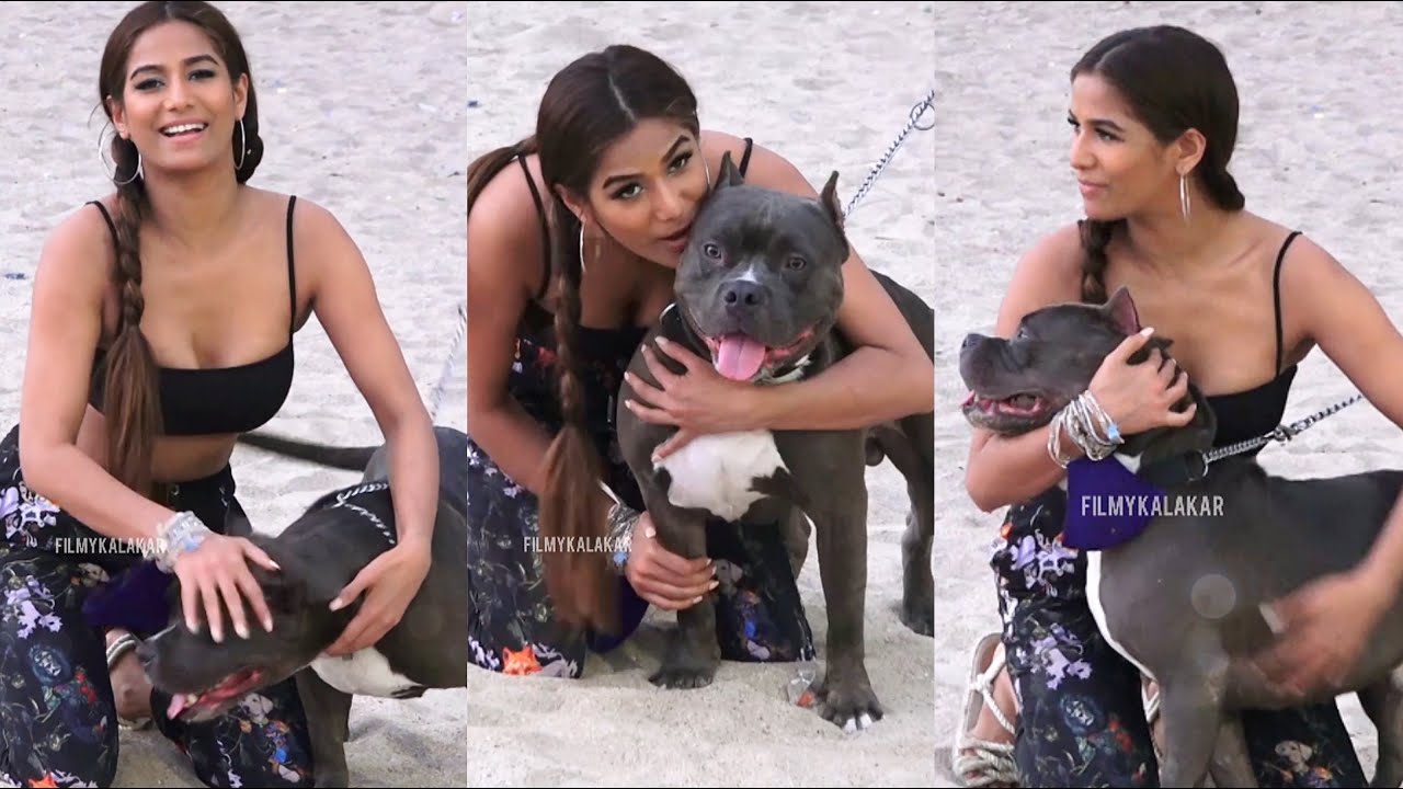 Poonam Pandey ne Juhu beach par apne pet dog ke sath ki masti 🐶