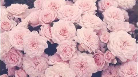 Thumbnail of xin tra lai thoi gian lyrics