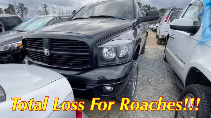 Total Loss For Roaches? Yuck! So Many Trucks Copart Walk Around