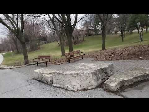 فيديو: أين تستمتع بسقوط أوراق الشجر في تورنتو