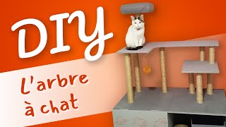 DIY : Fabriquer son arbre à chat pour pas cher !