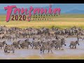 Tanzania 2020  l  Wildlife Photography