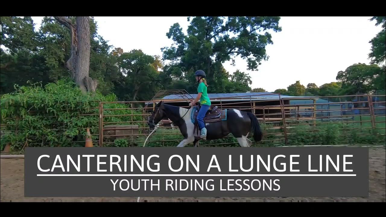 Cantering on a Lunge line Youth Horse Riding Lessons YouTube