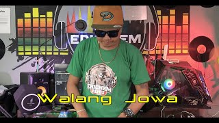 Selamanya Lajang | Walang Jowa | Budot Remix | DJ Ericnem