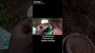 How to Break seed dormancy on Capsicums Easy tip