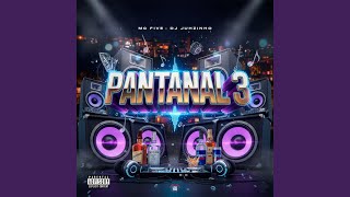 Pantanal 3