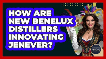 How Are New Benelux Distillers Innovating Jenever? - Exploring The Benelux