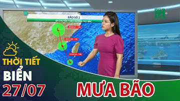 Thời tiết biển 27/07/2023: Phía Đông của Bắc biển Đông mưa bão, gió cấp 10| VTC14