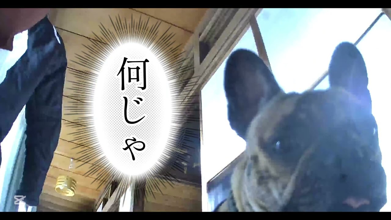 突然気付くおこげさん。