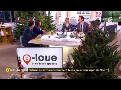 Vidéo: Comment Choisir Le Bon Sapin De Noël Artificiel Pour Le Nouvel An