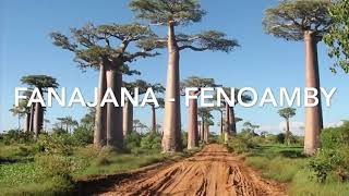 Fanajana Fenoamby