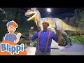Blippi Visits the Pacific Science Center! | Learn About Animals | Educational Videos For Kids
