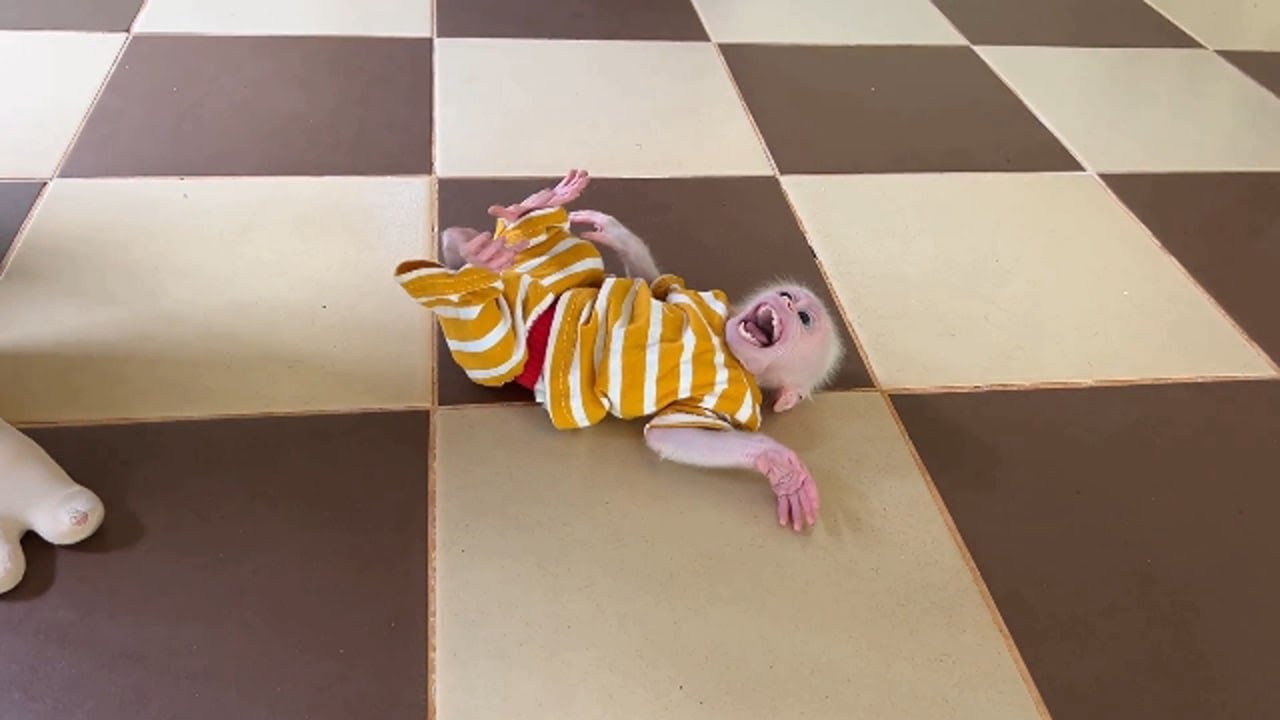 Pavpav Most Emoti0nal Tantrum On Floor Anqry His Mom Not Pick Him Up