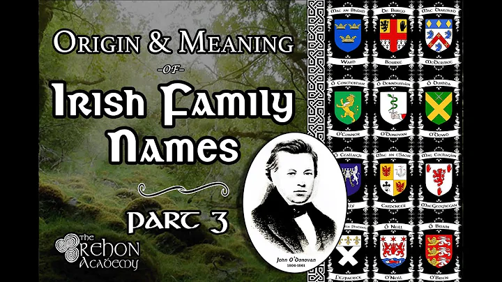Irish Family Names Part 3 | Anglo-Norman Influence on Irish Surnames (2/2)