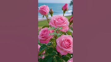 #surahkawthar #سورة_الكوثر #القرآن_الكريم #egzonibrahimi #hearttouching #tilawatequran#nature