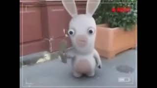 Reupload Rayman Raving Rabbids Has Sparta Cartoon Network Remix