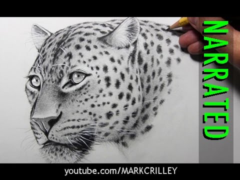 Video: How To Learn To Draw A Leopard