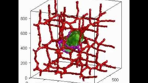 3D Multi-Cell Simulation of Tumor Growth and Angiogenesis