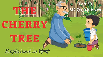The Cherry Tree MCQ in English | Top 20 Quizzes Explained in Hindi | Fable Fact