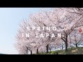 A day in my life (Spring in rural Japan, work day, ALT)