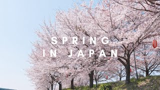 A day in my life (Spring in rural Japan, work day, ALT)