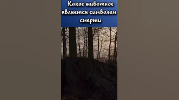 Какое животное является символом смерти? #shorts