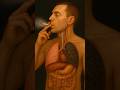XCigarette Smoking Impact on Lungs | 3D Human Anatomy Animation #menshealth #shorts #usa #ytshorts
