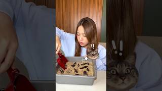 Makan pasir kucing kue. Mirip banget kan sama yg asli 😂 screenshot 3