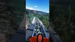 Leavenworth Washington alpine coaster adventure park #leavenworth #alpinecoaster #shorts