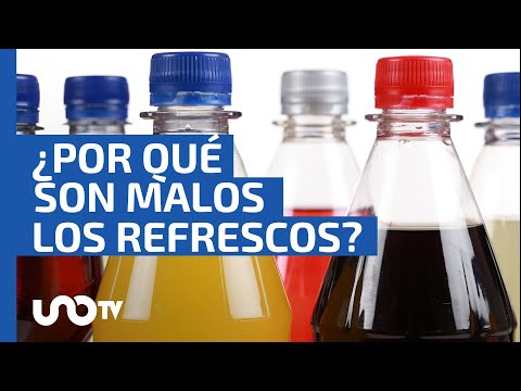 ¿Qué contienen los