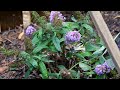 Garden Rulez - Intro to Soil Types