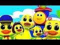 خمسة البط قليلا بوب القطار القوافي باللغة العربية عد الأرقام أغاني للأطفال 5  