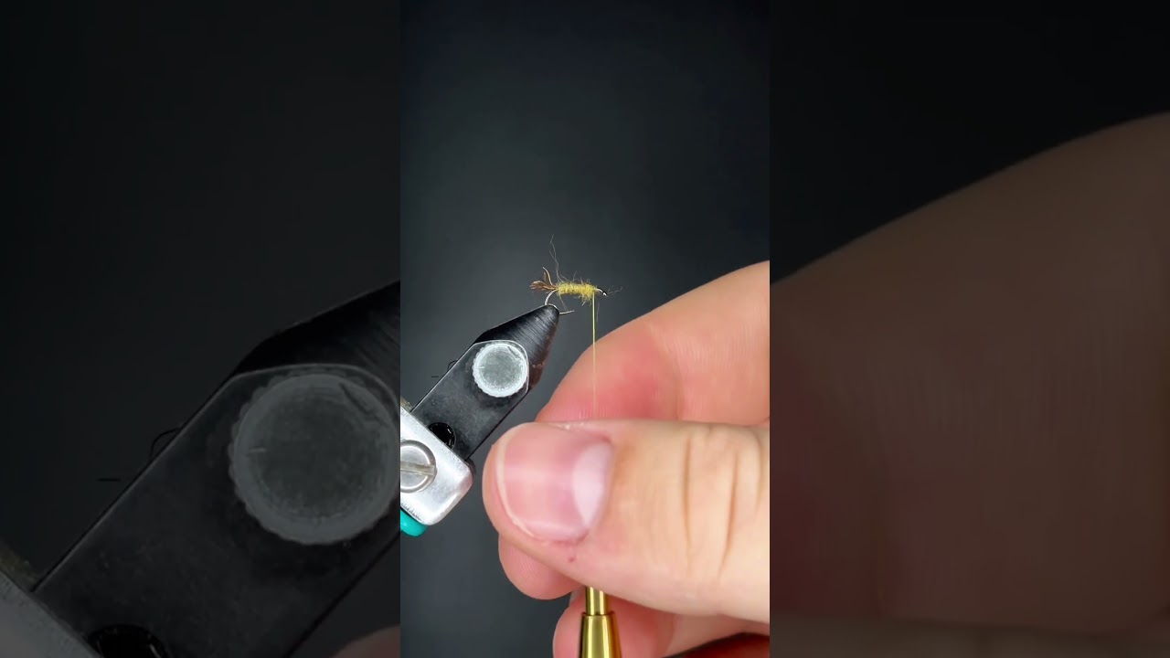 Super small and easy X-Caddis! #fishing #flytying #flyfishing