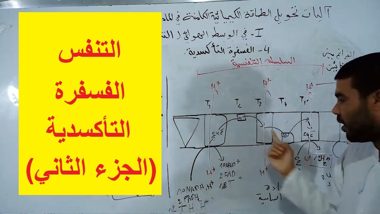 الفسفرة التأكسدية (الجزء الثاني)