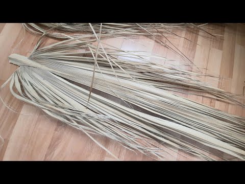 Video: Palmiye Yaprakları Nasıl Yapılır