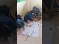 # making poster #grade 8 #world no tobacco day #dengue fever #no to drugs #shorts #shortsbetayoutube