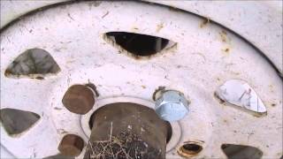 1985 Ez Loader Trailer Lug Bolts