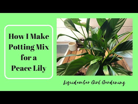 Potting Mix for a Peace Lily