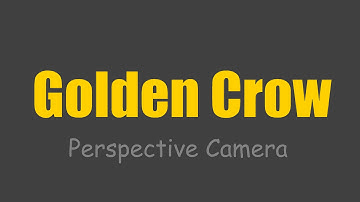 DirectX Programming Tutorial C# Game Development Perspective Camera #10 (No Xna)